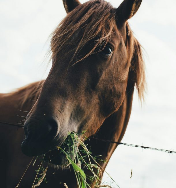 annie-spratt-MLhAqbSgVKA-unsplash